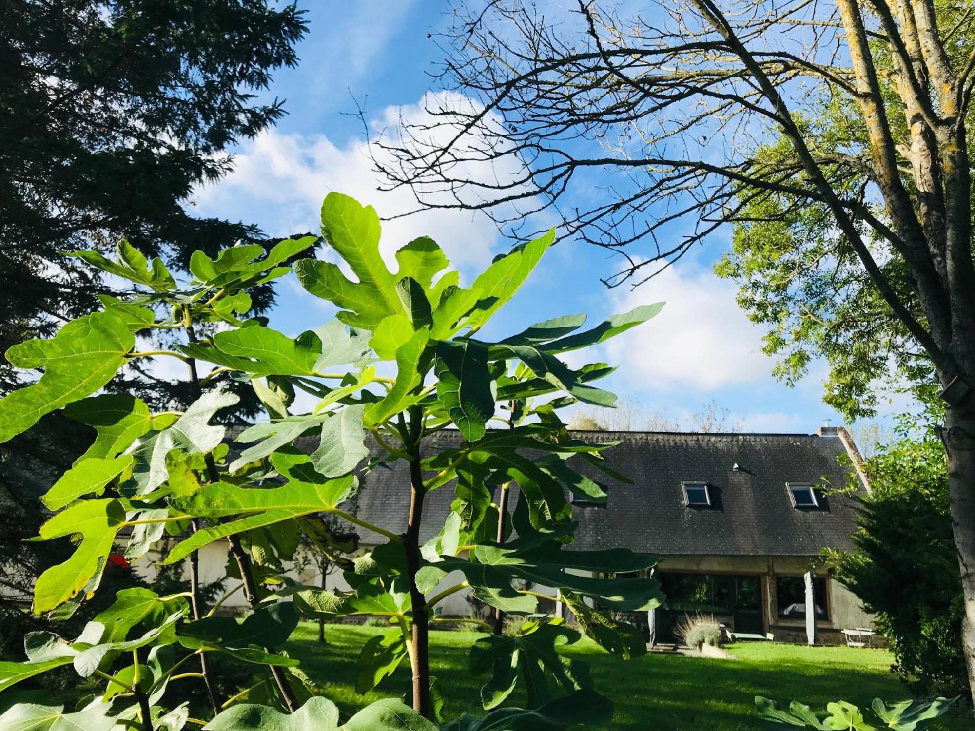 Rouge Cottage Gite 4 Etoiles Billard Gueutteville-les-Gres Kültér fotó